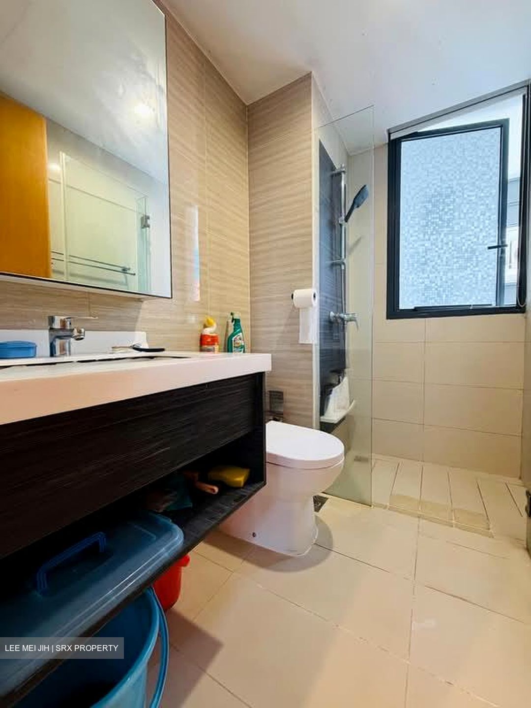 Blossom Residences (D23), Condominium #601595371
